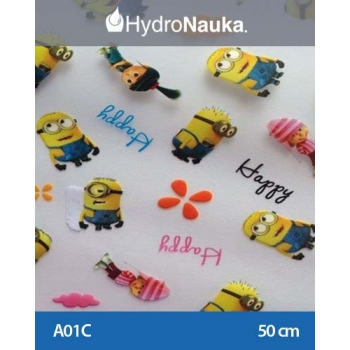 Folia do hydrografiki Minionki